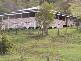 476 DERRYMORE ROAD, Derrymore QLD 4352