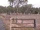 1280 MURPHYS CREEK ROAD, Murphys Creek QLD 4352