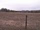 1280 MURPHYS CREEK ROAD, Murphys Creek QLD 4352