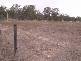 1280 MURPHYS CREEK ROAD, Murphys Creek QLD 4352