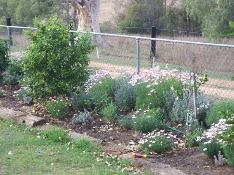 73 ABBOTTS ROAD, Derrymore QLD 4352