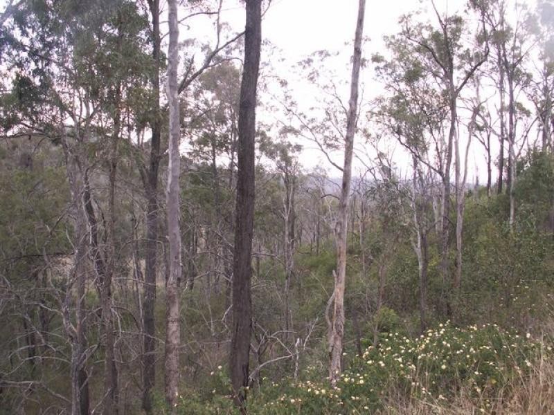 412 Gittins Road, Withcott QLD 4352