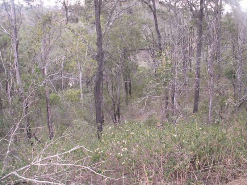 412 Gittins Road, Withcott QLD 4352
