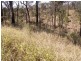 Lot 1/ Herron Road, Helidon Spa QLD 4344