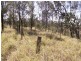 Lot 1/ Herron Road, Helidon Spa QLD 4344