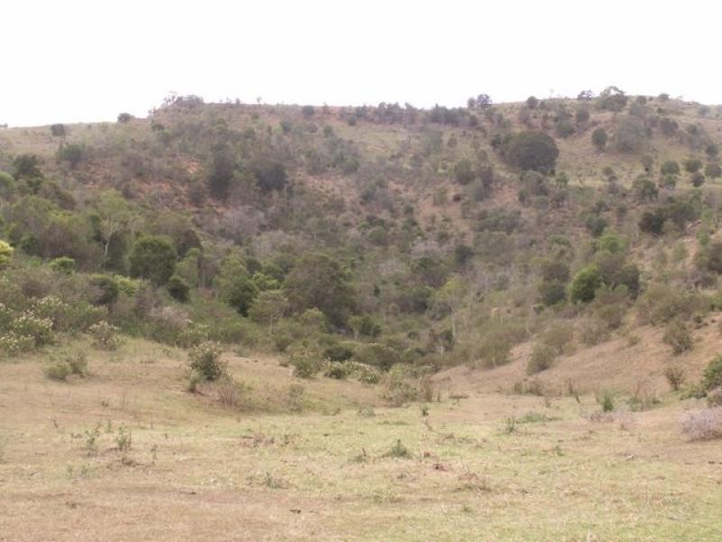 443 Derrymore Road, Derrymore QLD 4352