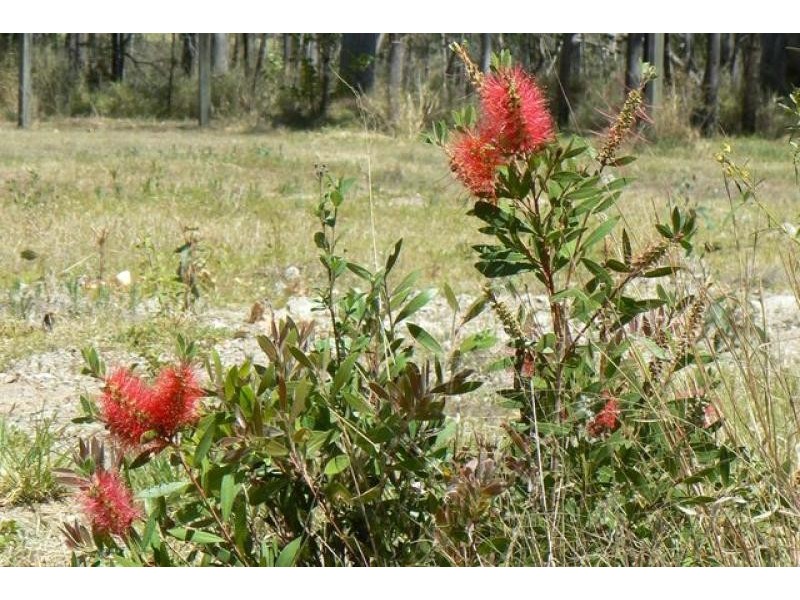 220 Koreelah St, Upper Lockyer QLD 4352