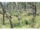220 Koreelah St, Upper Lockyer QLD 4352
