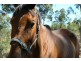 Lot 3 – 13/ Green Gully Rd, Upper Lockyer QLD 4352