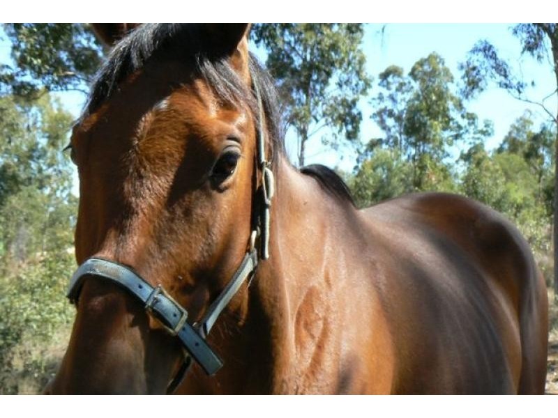 Lot 3 – 13/ Green Gully Rd, Upper Lockyer QLD 4352