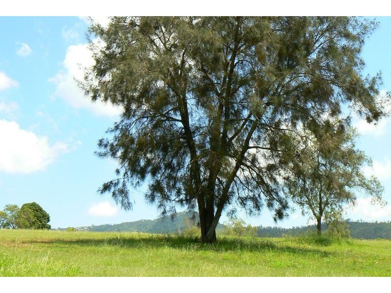 9 Belah Court, Withcott QLD 4352