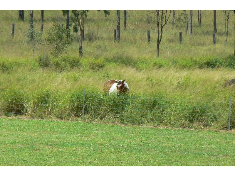 Lot 7/ Gittins Road, Withcott QLD 4352