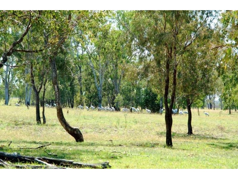 00 Pandora Rd, Alton Downs QLD 4702