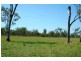 00 Pandora Rd, Alton Downs QLD 4702