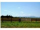 00 Pandora Rd, Alton Downs QLD 4702
