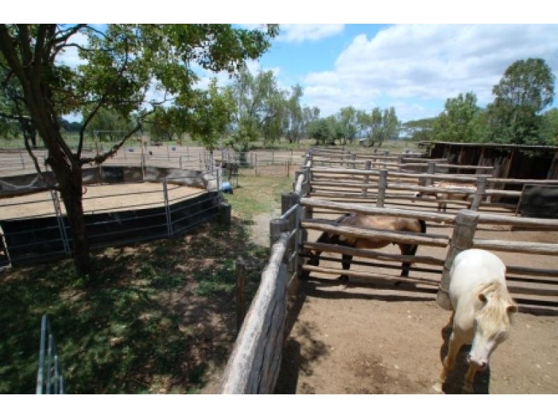 111 RIDGELANDS RD, Pink Lily QLD 4702