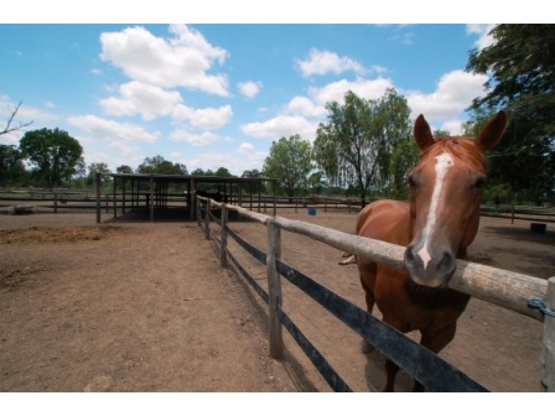 111 RIDGELANDS RD, Pink Lily QLD 4702