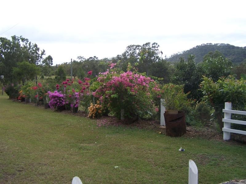 586 Cawarral Rd, Cawarral QLD 4702