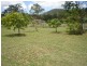 586 Cawarral Rd, Cawarral QLD 4702