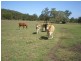 586 Cawarral Rd, Cawarral QLD 4702