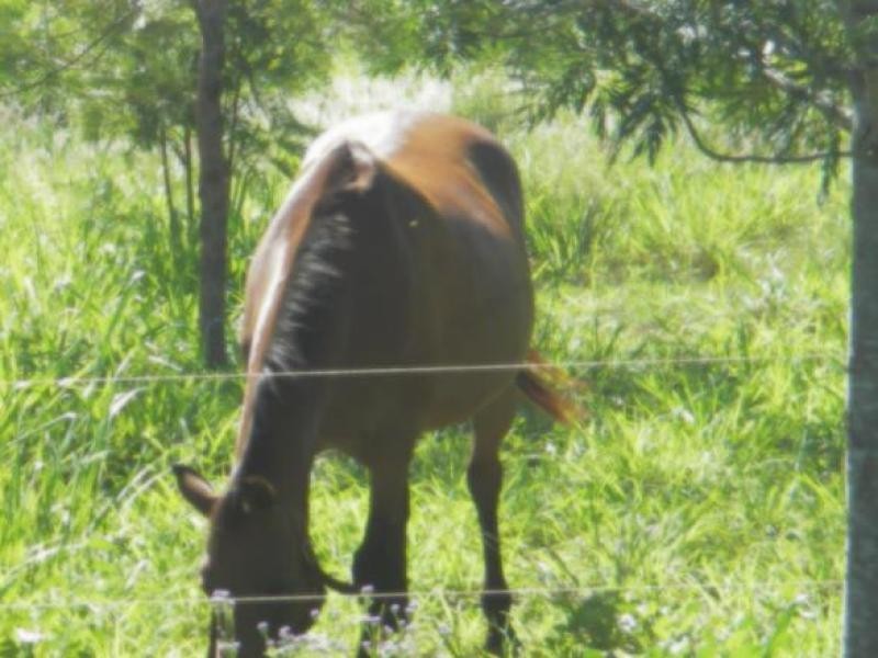 108 Stones Rd Woodbury, Bungundarra QLD 4703