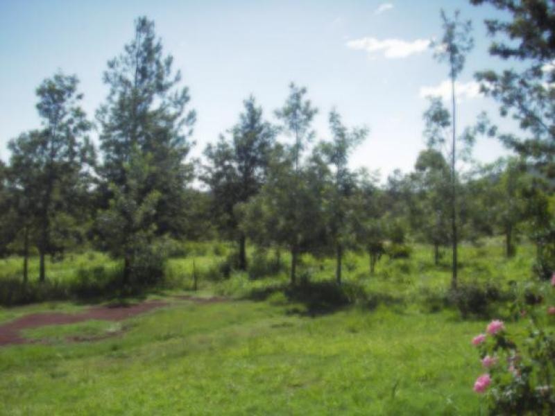 108 Stones Rd Woodbury, Bungundarra QLD 4703