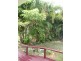 13 Mirrawena Avenue, Bangalee QLD 4703
