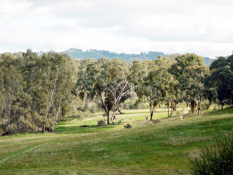 Sedgwick VIC 3551