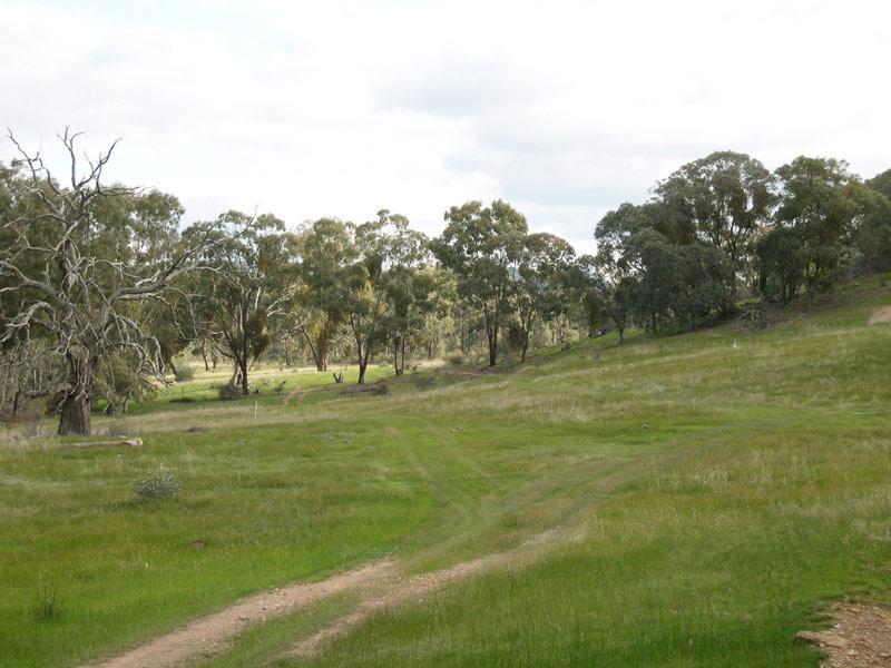 Sedgwick VIC 3551