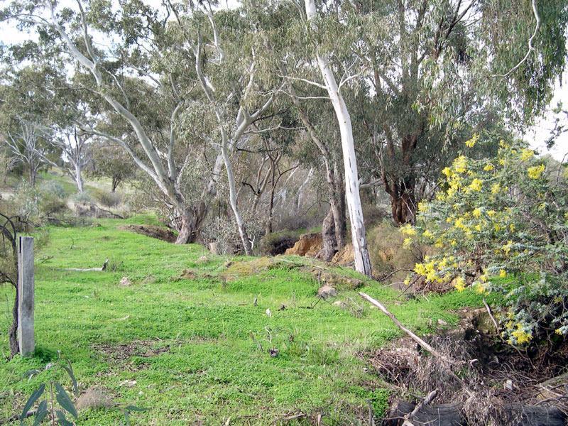 Sedgwick VIC 3551