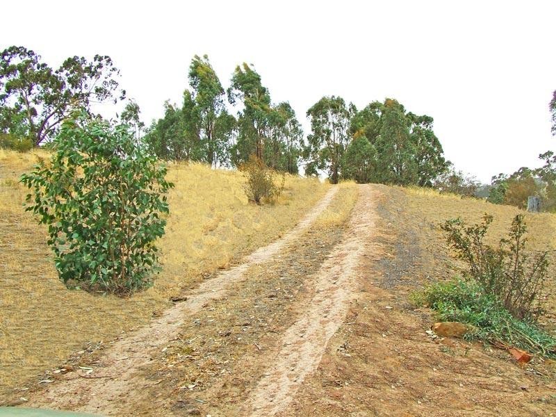 2 Peney Lane, Sedgwick VIC 3551