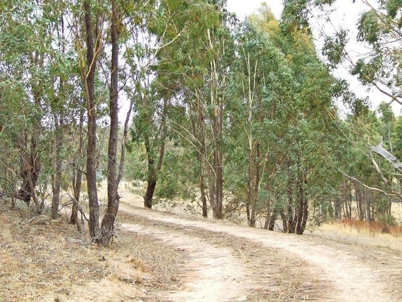 2 Peney Lane, Sedgwick VIC 3551