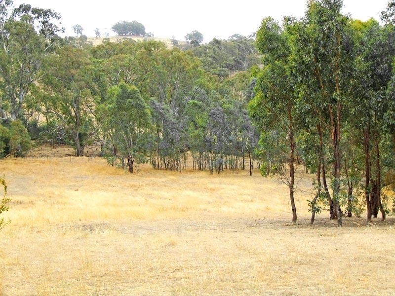 2 Peney Lane, Sedgwick VIC 3551