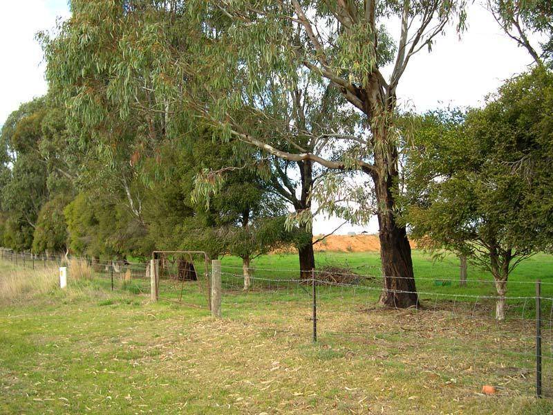 6 THOMAS ROAD, Dingee VIC 3571