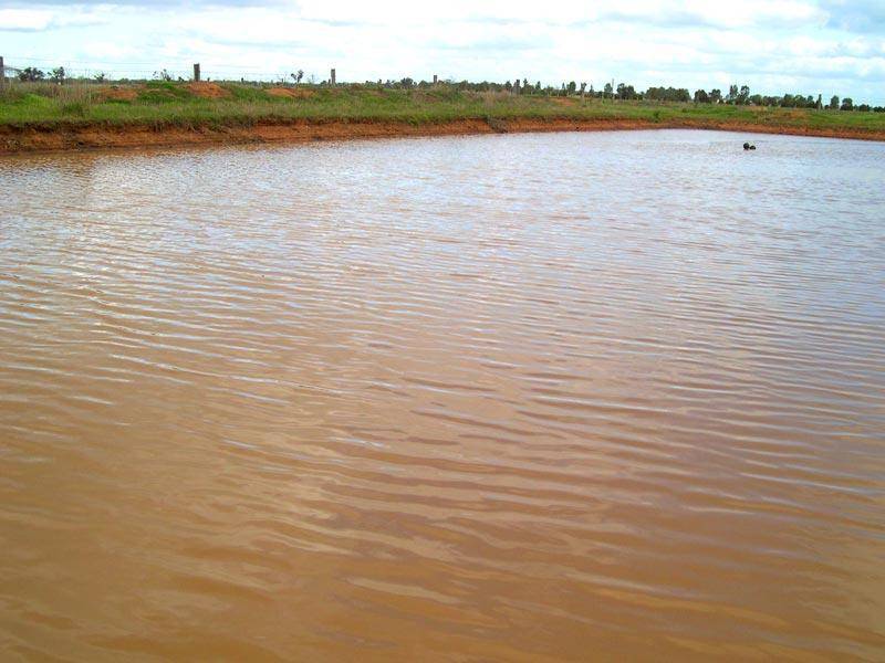 6 THOMAS ROAD, Dingee VIC 3571