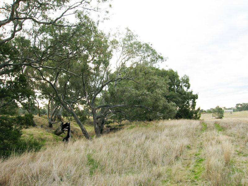 LOT 3 DOBLES LANE, Ravenswood South VIC 3453