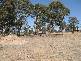 LOT 5 MCIVOR PARK COURT, Junortoun VIC 3551