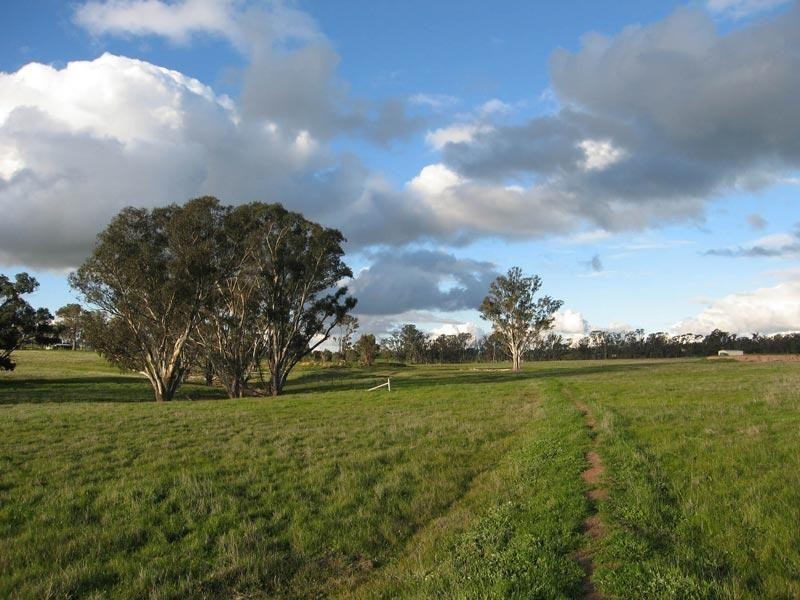 Lot 13 Nethercraigs Road, Lockwood South VIC 3551