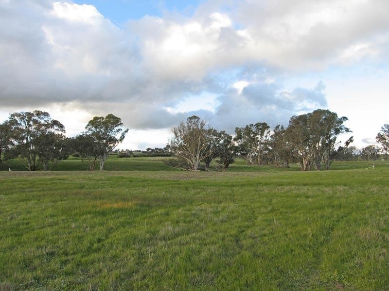 Lot 13 Nethercraigs Road, Lockwood South VIC 3551