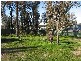 1 NORTHMOOR DRIVE, Strathdale VIC 3550