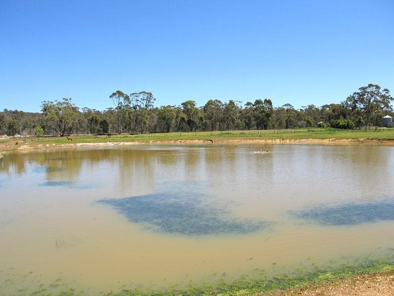 531 EMU CREEK ROAD, Strathfieldsaye VIC 3551