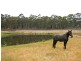 337 Mandurang South Road, Mandurang South VIC 3551