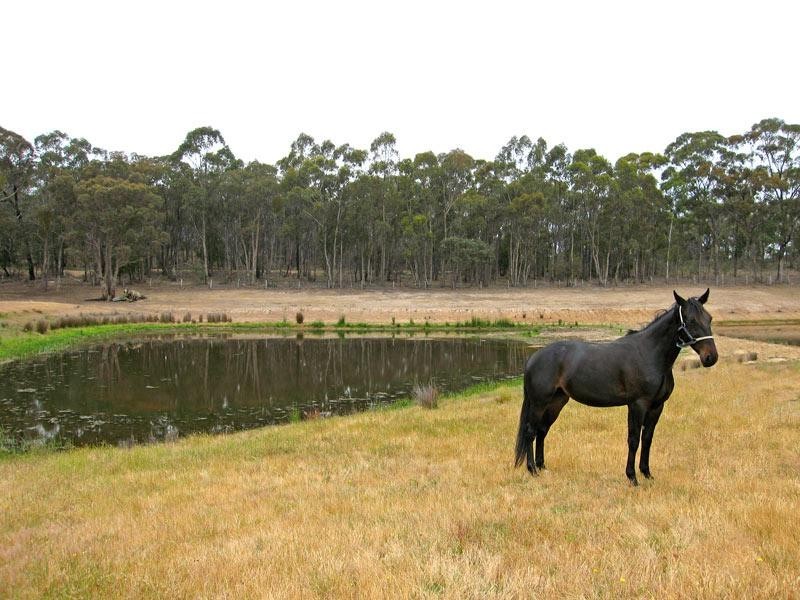 337 Mandurang South Road, Mandurang South VIC 3551