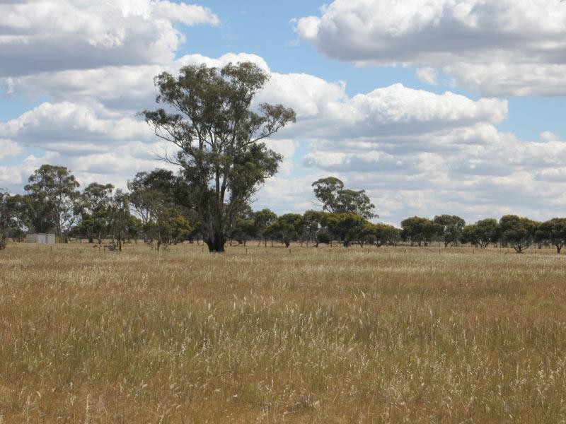 LOT 5 YAMBA LANE, Goornong VIC 3557