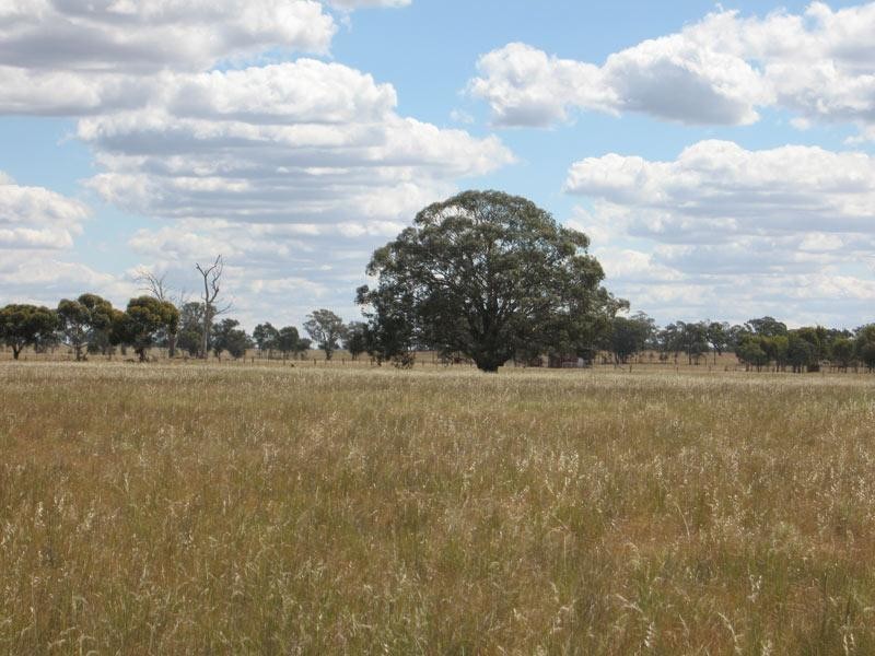 LOT 5 YAMBA LANE, Goornong VIC 3557