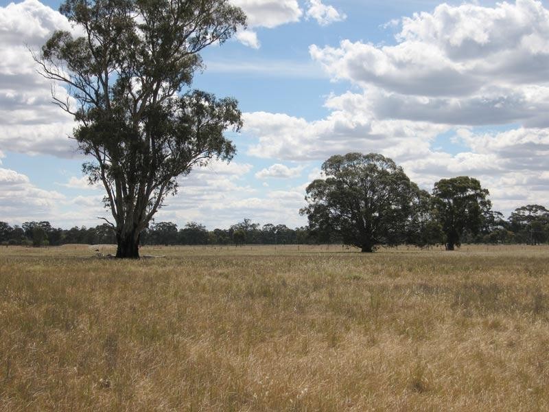 LOT 5 YAMBA LANE, Goornong VIC 3557