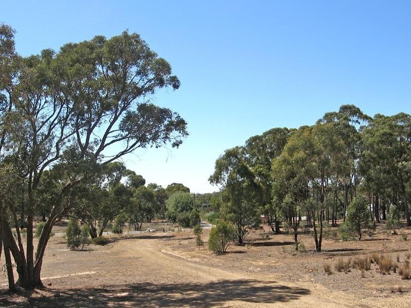 158 Mandurang Road, Mandurang VIC 3551