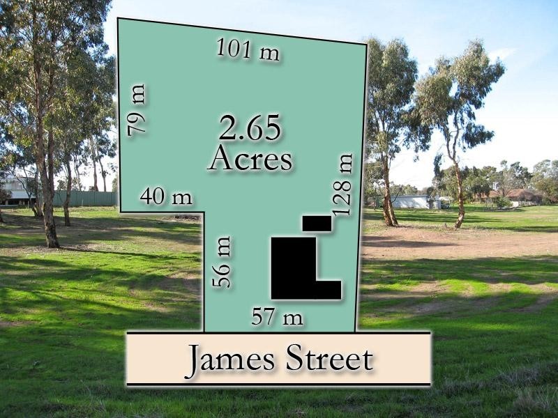 24 James Street, White Hills VIC 3550