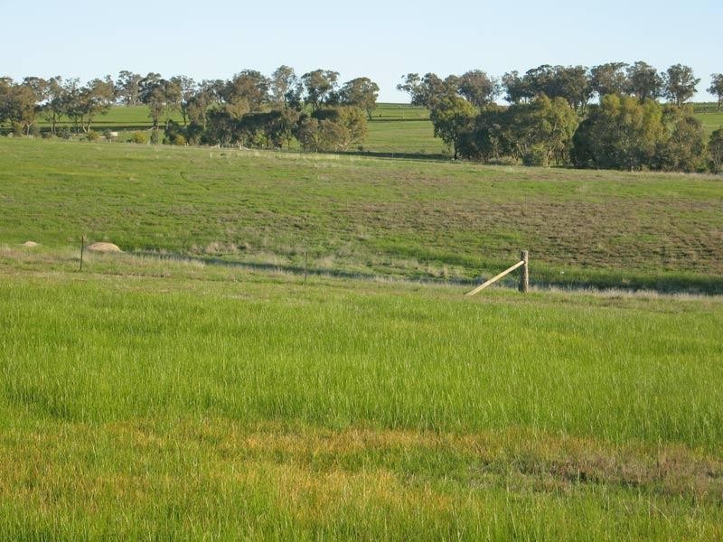 Lot 82 Wildcherry Road, Lockwood South VIC 3551