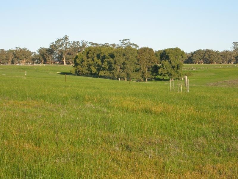 Lot 82 Wildcherry Road, Lockwood South VIC 3551